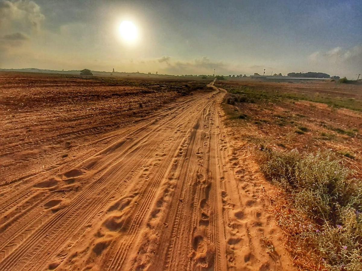 Kibbutz Hatzor A Room Close To Ashdod Hatzor Ashdod Esterno foto